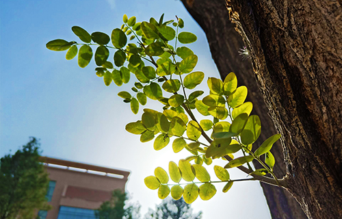  天水市卫生学校五年制大专学校