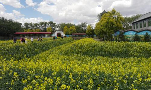  沈阳市新民技校