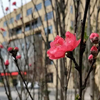  攀枝花学院招生简介