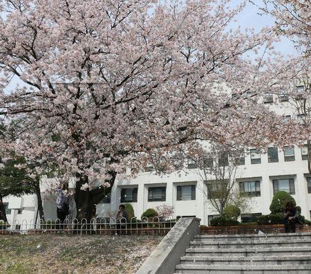  鞍山建筑工程技术学校