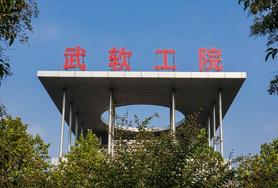  武汉软件工程职业学院